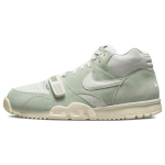 Nike Air Trainer 1 Emailroheline Meeste Tossud Sail Summit-White DX4462-300 41