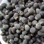 250/500g Kuivatatud Rhodomyrtus Tomentosa puuvili, kuivatatud taimetee Renzi tee Jinxiang 250g