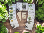 Coffret de Graines - Sp&eacute;cial Plantes Aromatiques - SemiSauvage Permaculture