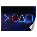 Taustapildinupud kontrollerile 100x70 sinine