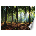 Tapeet Hommik metsas 100x70 pruun