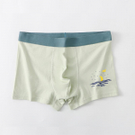 Noorte poiste puhtast puuvillast bokserp&uuml;ksid &ndash; P037 2XL khaki