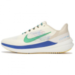 Nike Air Winflo 9 Premium Kookospiim Staadioniroheline Meeste Tossud Kreemjas Liivakollane V&otilde;idus&otilde;idukinine DV8997-100 46