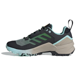 National Geographic x adidas Terrex Swift R3 GORE-TEX Carbon Aqua Meeste Tossud Sinine Semi-Flash-Aqua Wonder-Beige IF7920 40