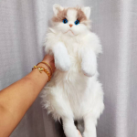 Kolme lillega kass simulatsioon kassinukk nukk nukk pl&uuml;&uuml;sm&auml;nguasi kaltsunukk kass seljakott s&uuml;nnip&auml;evakingitus 50cm 450g