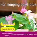 Toitlahus lootuste ja vesirooside kasvatamiseks - H&uuml;dropooniline v&auml;etis dekoratiivlilledele ja rohelistele taimedele Bowl Lotus Hydroponic Special [500ml]