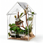 L&auml;bipaistev akr&uuml;&uuml;l maja kujuline roomajate terrarium ventileeritav roomajate aretuskarp kahepaiksete armastajatele ja klassiruumi v&auml;ljapanekuks 1