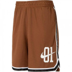 Jordan Dri Fit SS25 Spordip&uuml;ksid Meeste Pruun IB9970-281 EU L pruun