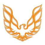 Mootorikate Vin&uuml;&uuml;lkleebis embleem Auto Ukse Kleebis Pontiac Firebird Trans AM Aztek Cobalt Firebird G6 G8 Grand Prix GTO GXP jaoks 40cm 1pcs oranž
