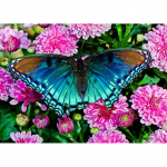 5D DIY teemantmaal liblikad ja lilled tikandid ristpistes kivist mosaiikkaunistus 20X30CM