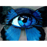 Teemantpunktide komplektid Silm Liblikad Teemantmaalid Tikand t&auml;ispuur ristpistes n&auml;put&ouml;&ouml; 20X30CM