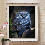 5D Teemantmaal Unistuste Kodu Teemanttikandid Rhinestone Kingitus Euroopa kodukaunistus Full Round 20X30CM