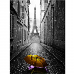 T&auml;is&uuml;mmargune/ruudukujuline 5D isetehtud teemantmaali allee t&auml;navavaade Teemanttikandid Ristpistekomplektid Kodukaunistus K&auml;sitsi valmistatud kingitused Round 20x30cm