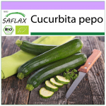 SAFLAX &ndash; Orgaaniline &ndash; Suvik&otilde;rvits &ndash; Nero di Milano &ndash; 6 seemet &ndash; Cucurbita pepo