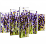 Viieosalise pildiga l&otilde;uenditr&uuml;kk Lavendel Flowers Nature 100x70 lilla