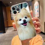 Telefoni&uuml;mbris iPhone'ile 14 13 12 11 Pro Max Xs Max Xr X 12mini 14 Plus Se Pomeranian Dogs Dog Case Funda Capa Cell iphone XR