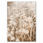 Pilliroog maastik Seinakunst Elukaunistus Kaasaegsed loomad L&otilde;uend Maalimine V&otilde;ilill Loodusmaastik Plakat ja v&auml;ljatr&uuml;kid FJ004 30x40cm no frame