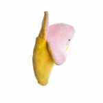 Lemmiklooma pl&uuml;&uuml;s kriuksuv m&auml;nguasi, hammustusekindel puhas koera n&auml;rimismass kutsika treenimiseks pehme banaani luust juurviljadest puuviljadest lemmikloomatarbed chilli