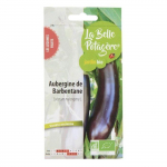 Graines &agrave; semer - Aubergine de Barbentane - 0,15 g