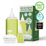 STEAMBASE Tea Tree Scalp Water Scaler 250ml special set (+50ml+brush provided)