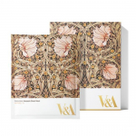 V&A Beauty Antioxidant Ampoule Sheet Mask 1 ea