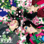 CD  shinu kurai daisuki aishiteru foo HERE001 Jaapan ObiJaapani PopRock Kasutatud