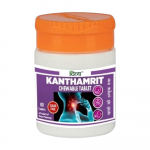 Divya Pharmacy Kanthamrit N&auml;rimistabletid 80 tk X 2 pakki V&auml;rske hinge&otilde;hu ja suuh&uuml;gieeni jaoks
