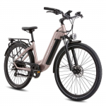 VAE - Maxtron Marathon - Mootor 250W - Aku 36V 22,5Ah - S&otilde;iduulatus 150 km lilla