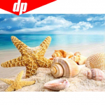 DIY teemantmaali ristpistega  Sea Shell Starfish Scenery  kodukaunistus 20X30