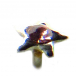 Les Tr&eacute;sors De Lily [D4445] - Stud Argent 'Etoile' Rose Heleroosa