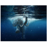 Teemanttikandid Elevandi ujumine Diamond Mosaic Living Room dekoor ristpistes 20X30CM