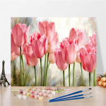 DIY maalimine numbrite j&auml;rgi Digitaalne &otilde;limaal Kodukaunistamine Hobid Numbrid &Otilde;limaal &Otilde;limaal Numbrid maalimine Kujutav kunst 40x50cm no frame