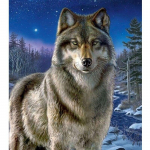 DIY Wolf 5D Teemantv&auml;rvimine T&auml;is&uuml;mmargune puurmosaiikkomplekt Vaik Loom Teemant Tikand Ristpistekomplektid Seinakunst kingitus Full Round 15x20cm