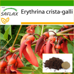 SAFLAX - Cockspur Coral Tree - 6 seemet - Potisubstraadiga paremaks kasvatamiseks - Erythrina crista galli