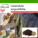 SAFLAX - Inglise lavendel - 150 seemet - Potisubstraadiga paremaks kasvatamiseks - Lavandula angustifolia