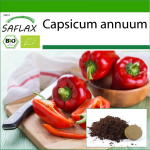 SAFLAX - Orgaaniline - Paprika - California Wonder Red - 20 seemet - Potisubstraadiga paremaks kasvatamiseks - Capsicum annuum