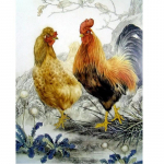 DIY Chickens 5D Teemantmaal T&auml;isringi puur Loom Kana Kukk Vaik Teemanttikandid Mosaiik Rhinestone kodukaunistus Full Round 20x30CM