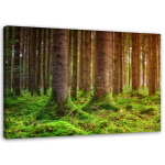 Feeby l&otilde;uenditr&uuml;kk, samblaga kaetud kohvrid 60x40 roheline