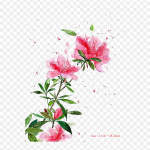 Lehtede taimetoitlane marineeritud kurk, triikraud soojus&uuml;lekandel tr&uuml;kkimisel Vin&uuml;&uuml;lplaastrid Kleebis riietele Ise ise teha aplikatsioonid pestavad plaastrid