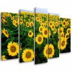 Viieosalise pildiga l&otilde;uenditr&uuml;kk Sunflowers meadow 100x70 kollane