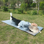 Soojusisolatsiooniga alumiiniumkilest piknikumatt, paksendatud veekindel matkamatt, niiskuskindel v&auml;limatt, PE alumiiniumkilest matt, telgi magamismatt 180cm*75cm*6mm