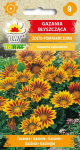 Gazania seemned lilleseemned aia jaoks suured saagid