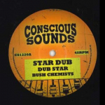 12-tolline plaat BUSH CHEMISTS / RAPHA PICO; DOUGIE - T&auml;htede Dub; Dub Star / Change Must Co CS1220 Conscious Sound 2024 UK Reggae, Ska & Dub