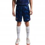 Nike Dri-Fit Stadium Logo Kitsa l&otilde;ikega jalgpallis&auml;&auml;rikud Meeste alumised osad IB4847-480 L