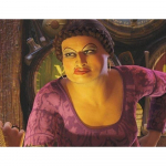 V&auml;rvimine numbrite j&auml;rgi raamiga Maalimispildid Shrek Doris 50x40 cm