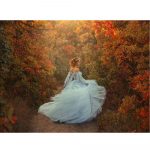 Teemantmaaling Ristpistes Metsaprintsessi pilt Teemanttikandid Mosaiik Kingitus Kodukaunistus 20X30CM