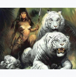 Teemantmaaling Nice Girl Tiger 5D DIY teemanttikandid 20X30CM