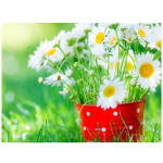 Teemantmosaiik p&auml;evalill 5D teemantmaalikomplekt Teemanttikandiga kivist piltdekoor 20X30CM