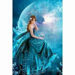 Teemanttikandid Teemantmaalid Teemantmosaiik Sinine kuu haldjas pilt kividest kodukaunistus 20X30CM