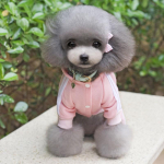 XS-XXL Lemmiklooma koera riided Soe koera kombinesoon kassi kutsika pidžaama riided Paks lemmiklooma kapuutsiga mantel koertele M